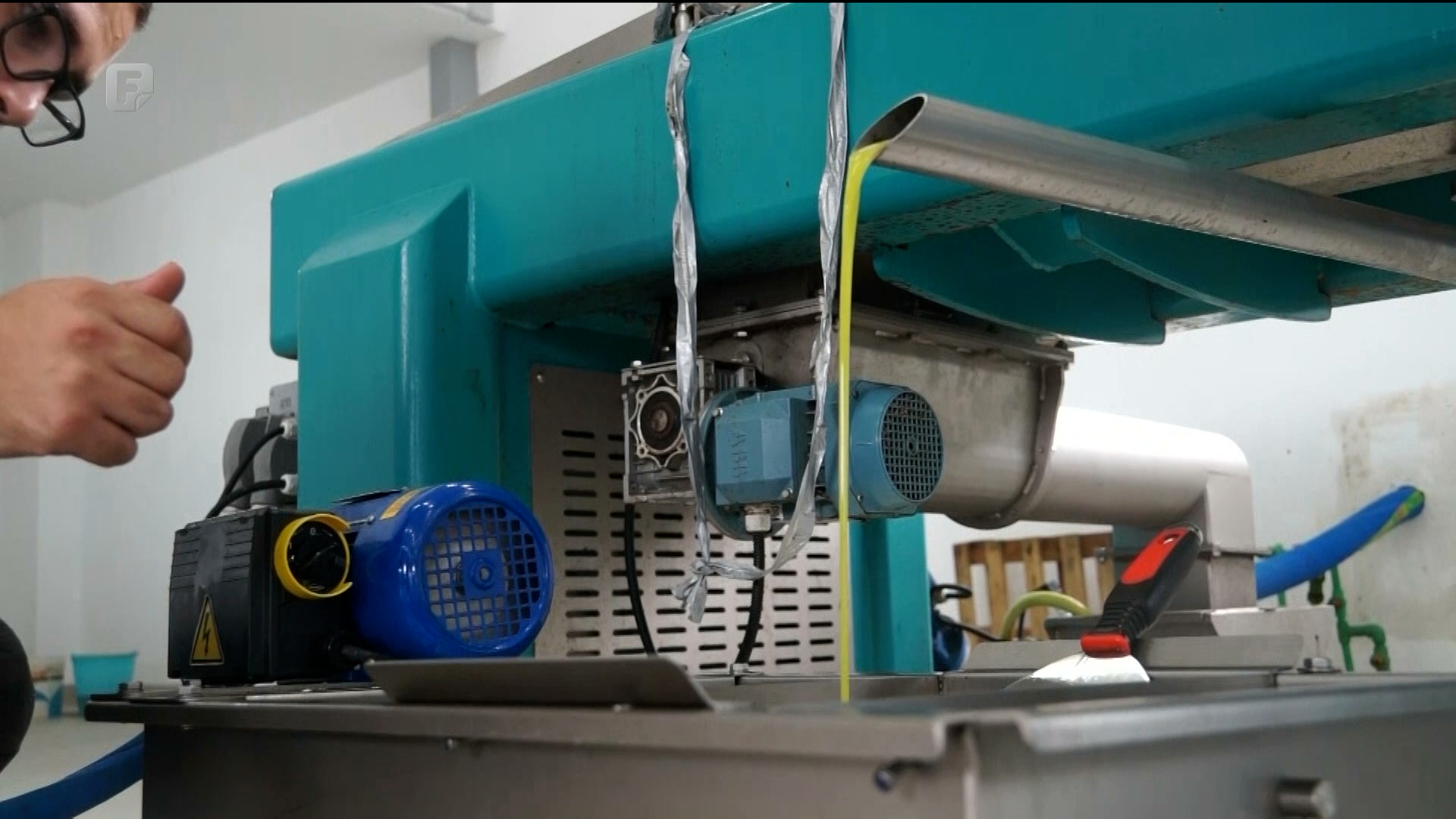 U tijeku je berba maslina, neumska uljara radi punom parom